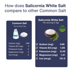 SaltWise Salicornia White Salt dispenser scoop, easy seasoning.