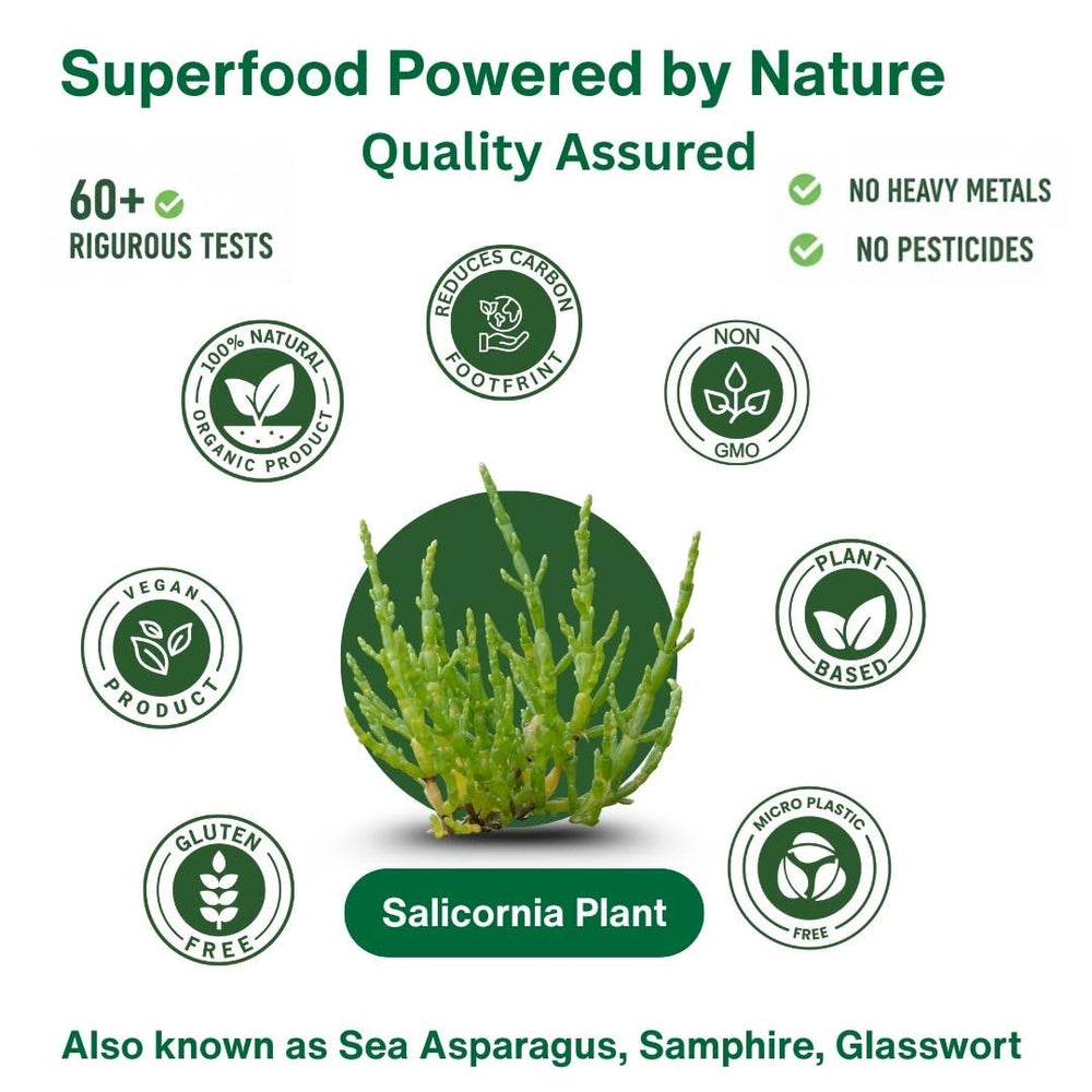 SaltWise trial pack image featuring Salicornia White Salt alongside Green Salt