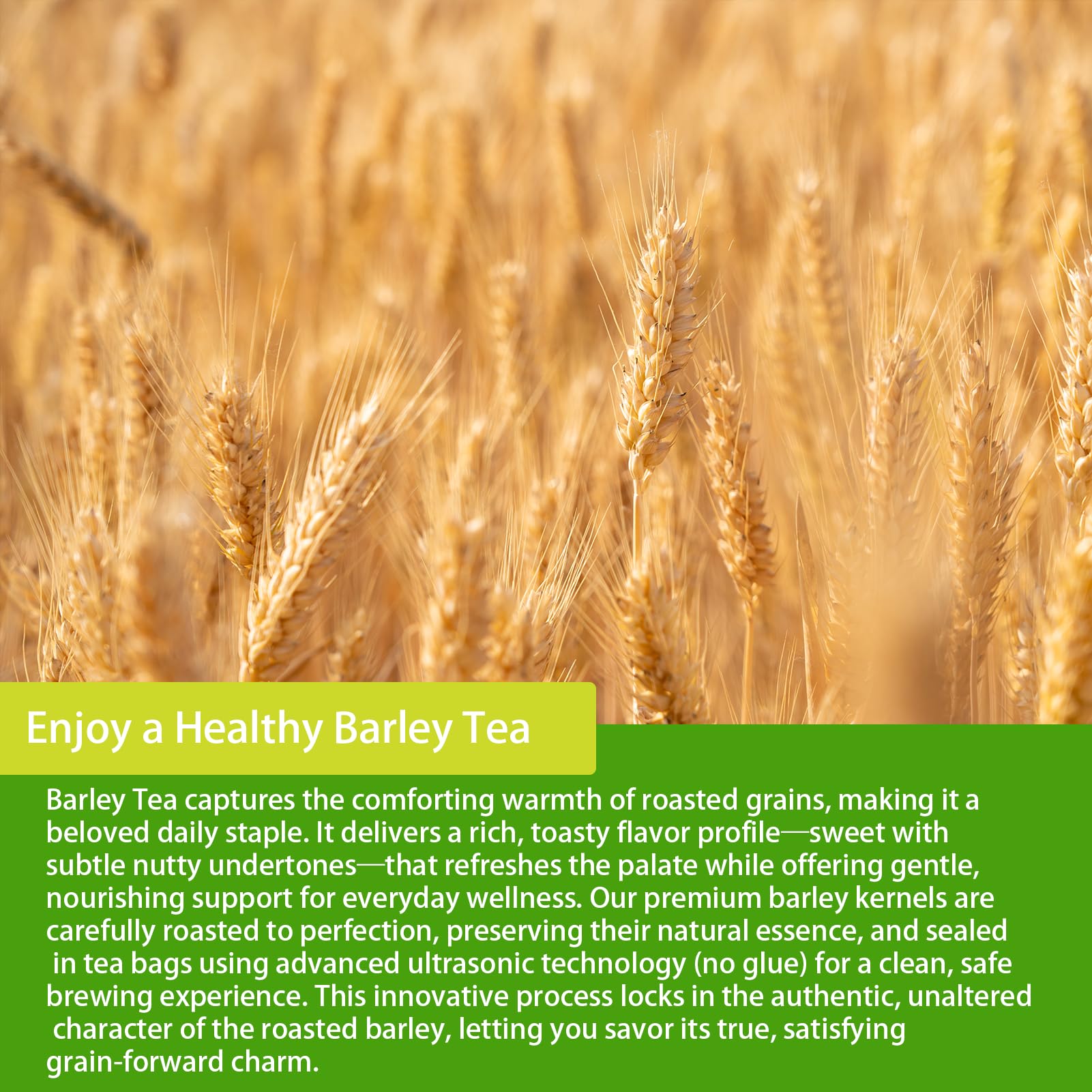 SAMCCI barley tea steeping moment with bag in hot water and comforting scent.