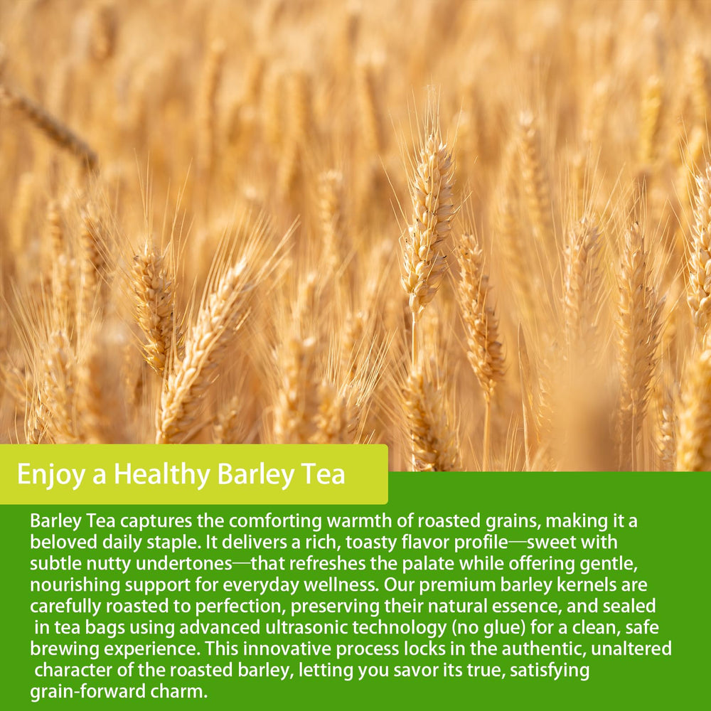 SAMCCI barley tea steeping moment with bag in hot water and comforting scent.