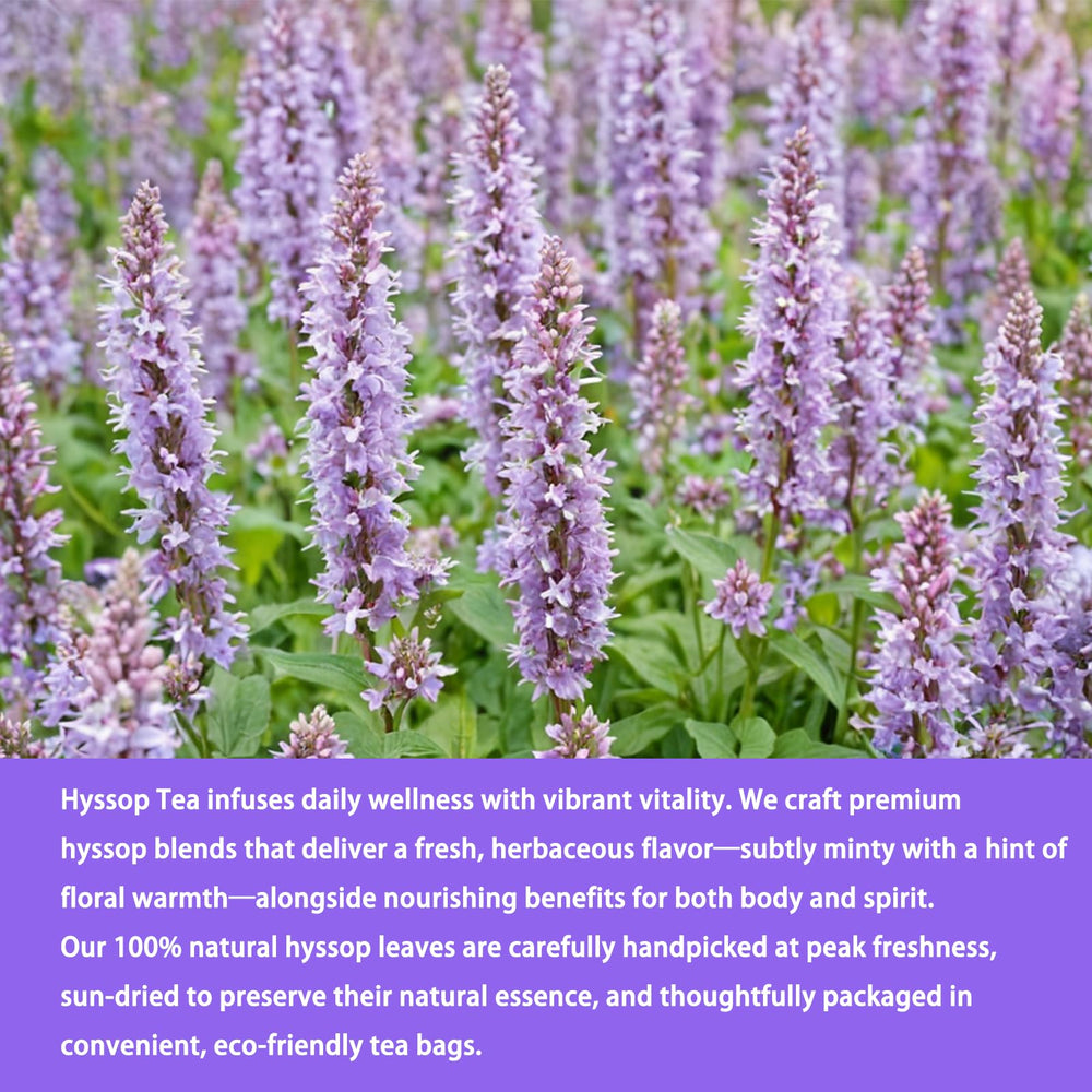Brewed cup of Samcci Hyssop Tea offers comforting warmth.