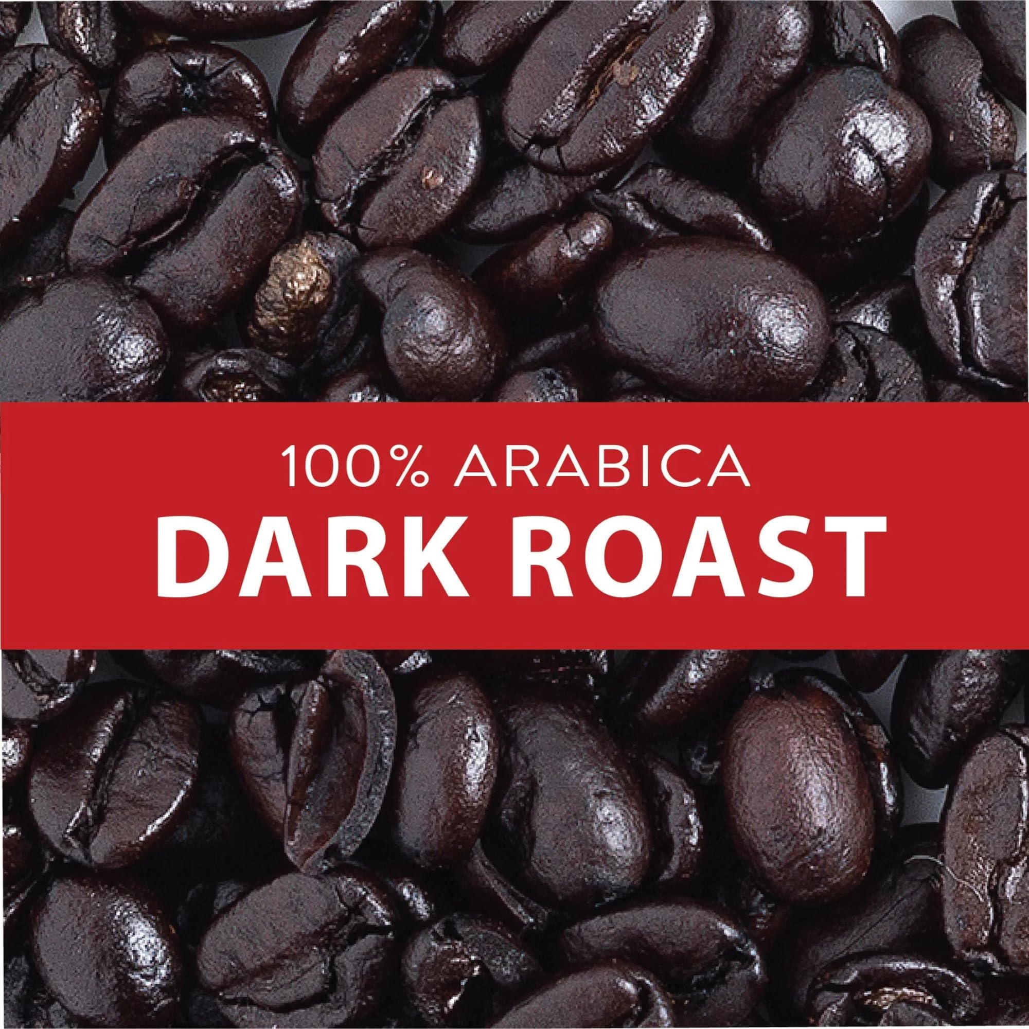 San Francisco Bay French Roast beans ready for grinding into a bold cup