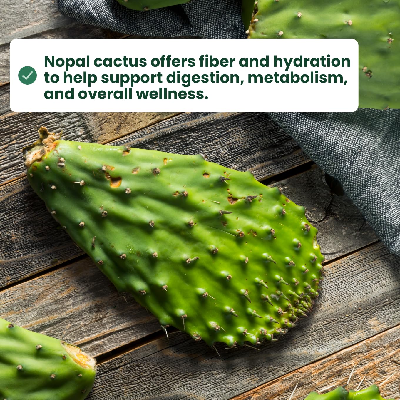 Sanar Naturals Nopal Flax Seed in a salad delivers extra fiber and omega-3.