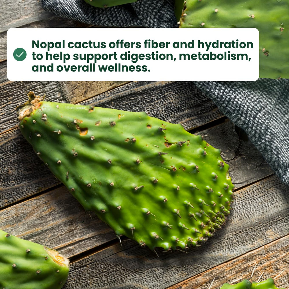 Sanar Naturals Nopal Flax Seed in a salad delivers extra fiber and omega-3.