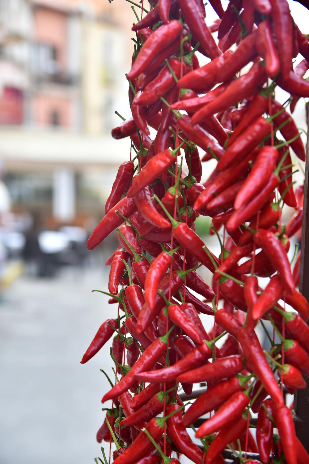 Sanniti Calabrian chili peppers pasta dish, authentic Italian heat and aroma in every bite