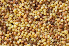 Sanniti fregola sarda pasta in Italy highlighting origin