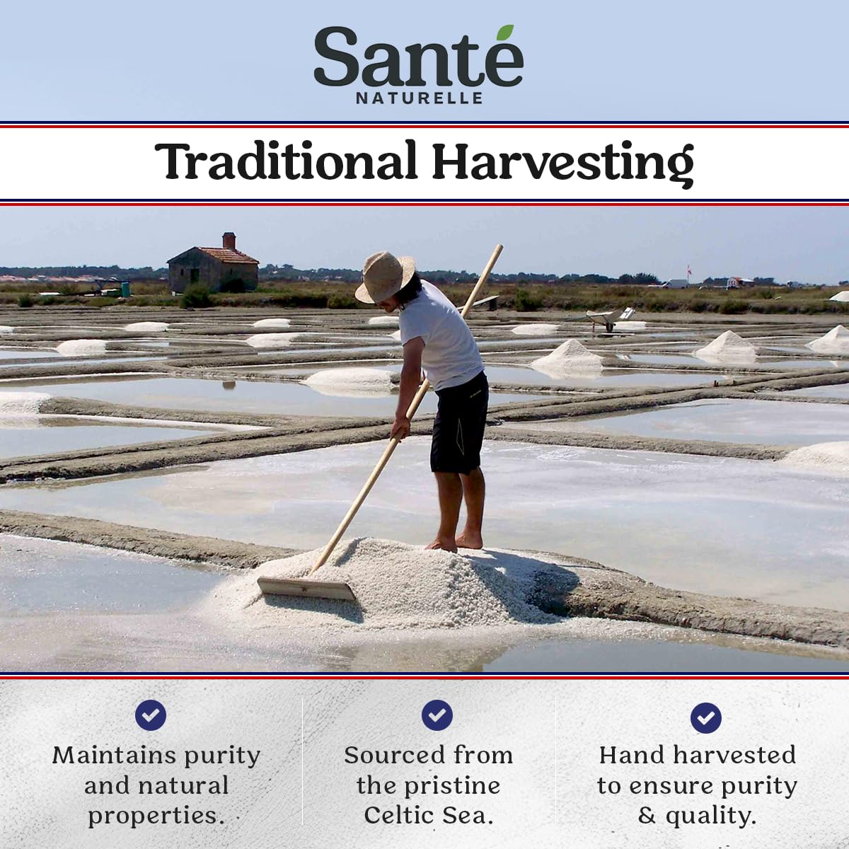 Sante Naturelle Celtic Salt dissolving in hot water for cooking and seasoning