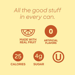 Sanzo Mango pack ready for on-the-go hydration with zero fuss.
