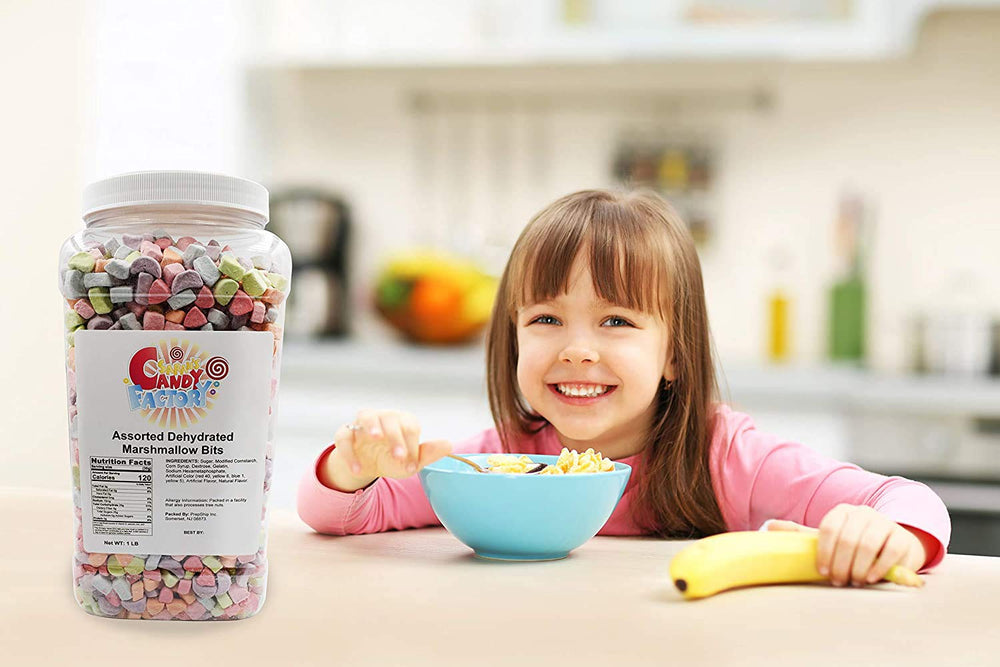 Sarah's Candy Factory dehydrated marshmallows perfect for desserts and snacks
