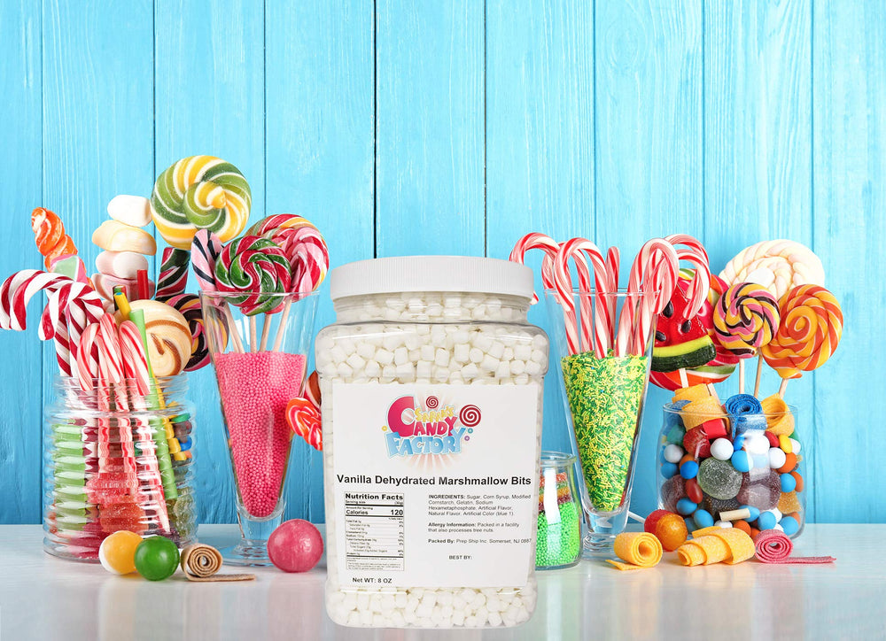 Sarah's Candy Factory vanilla mini dehydrated marshmallow bits topping hot cocoa in a mug