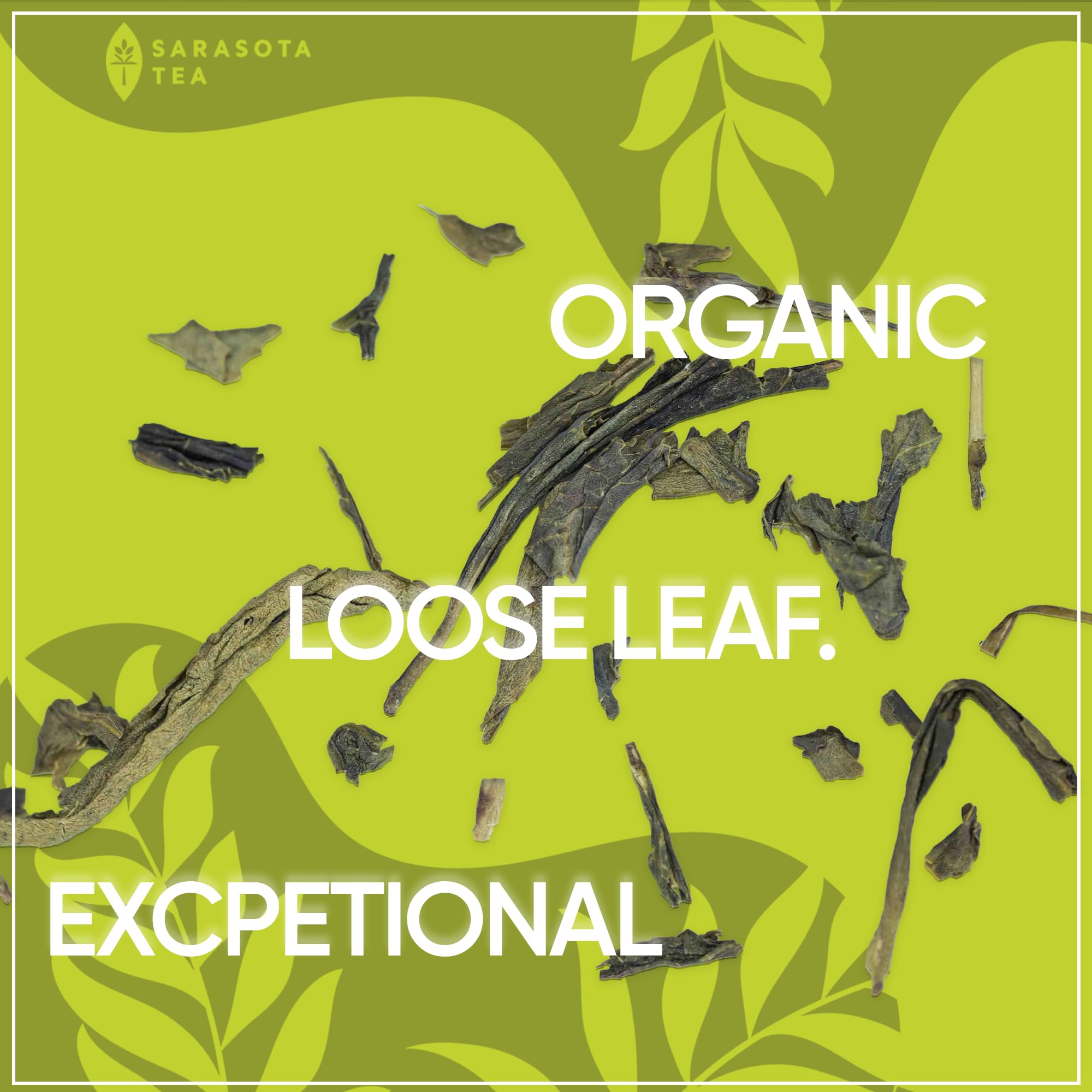 SARASOTA COFFEE & TEA CO. Fresh sencha leaves stored away from light.