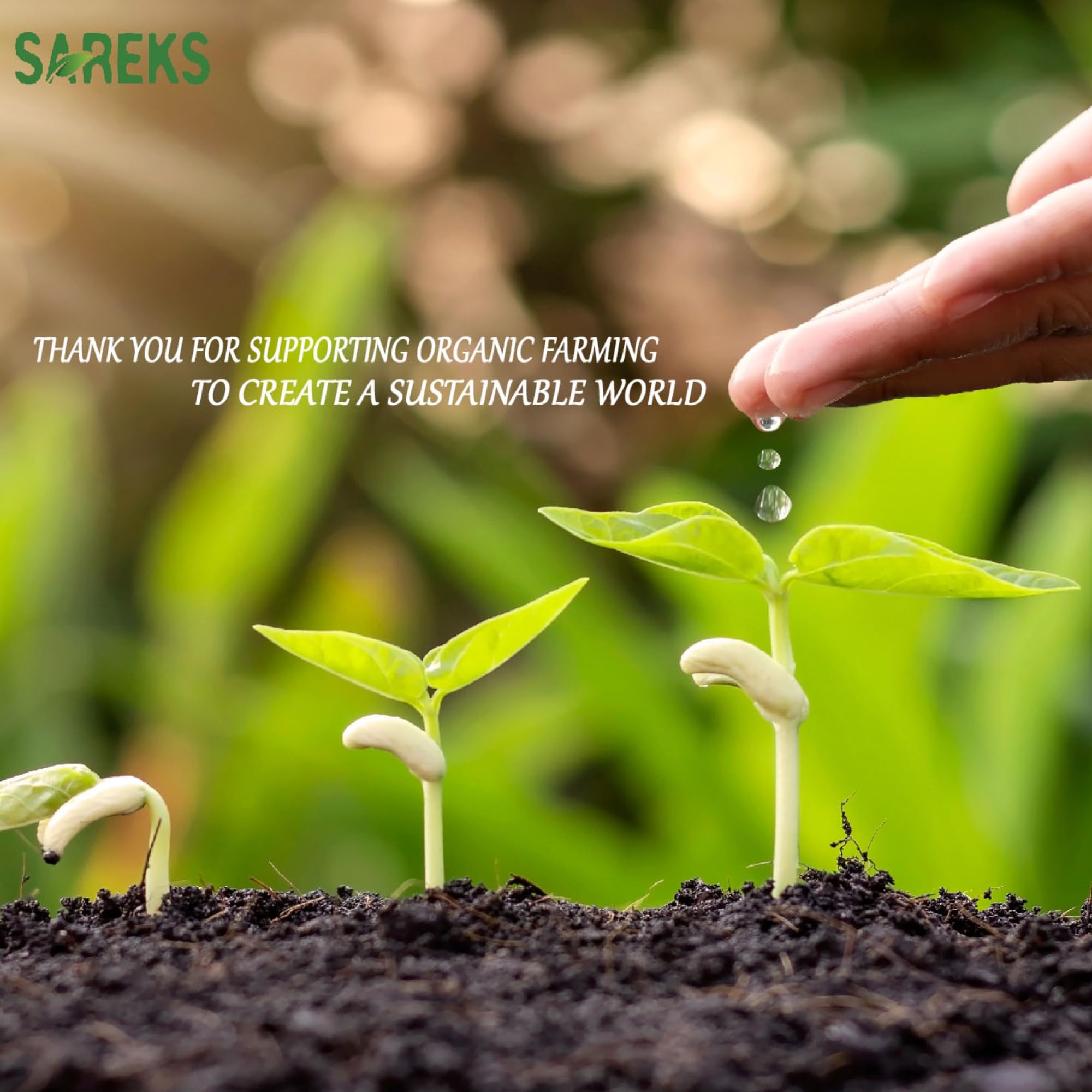 SAREKS storage-friendly packaging image keeps kernels fresh in pantry.