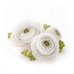 Satin Ice gum paste white flower detail for lifelike petals
