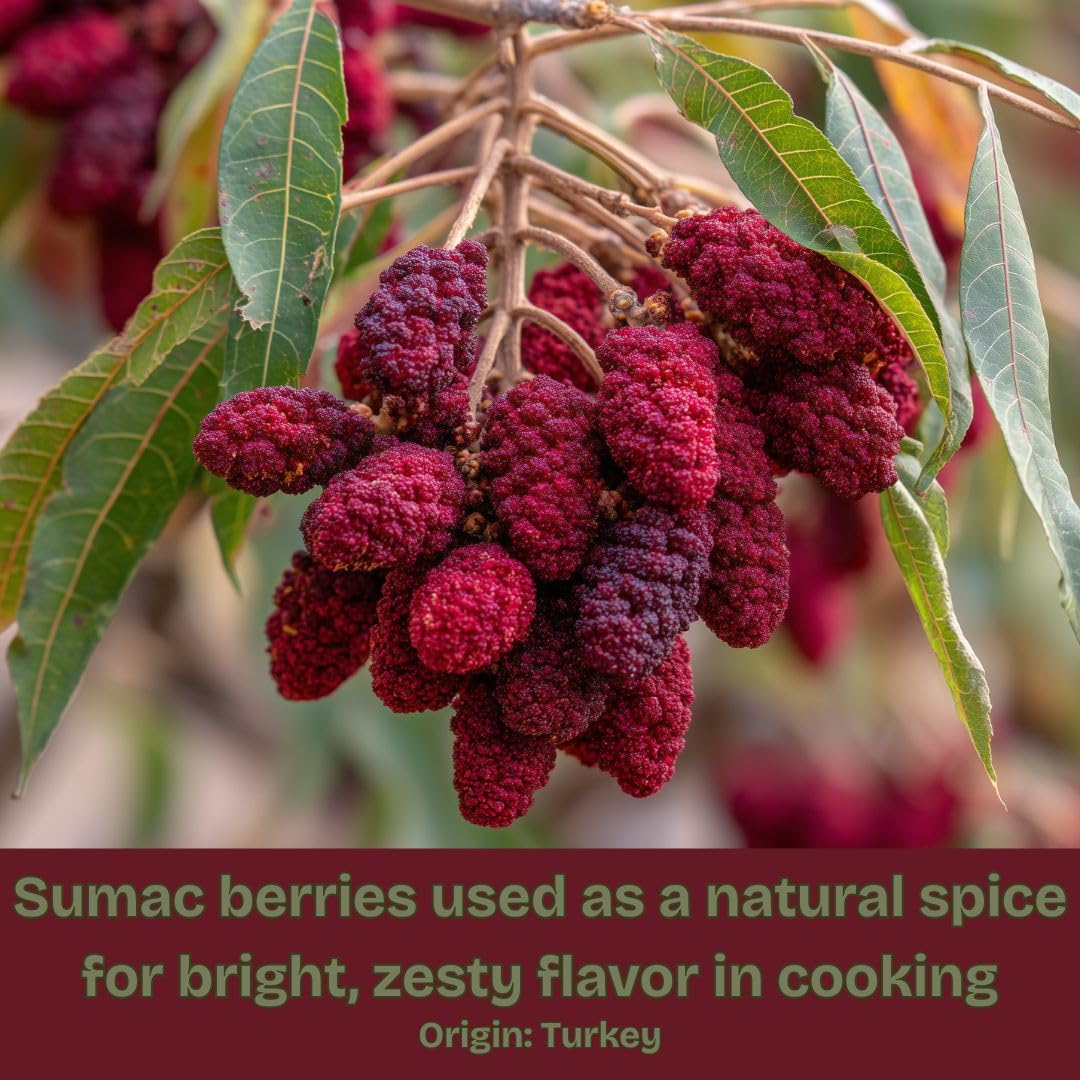 SavorSatch Ground Sumac seasoning for kebabs brings authentic tang.