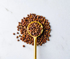 Savory Spice Shop Grains of Paradise ground seeds ideal for mill-fresh finishing and aroma.