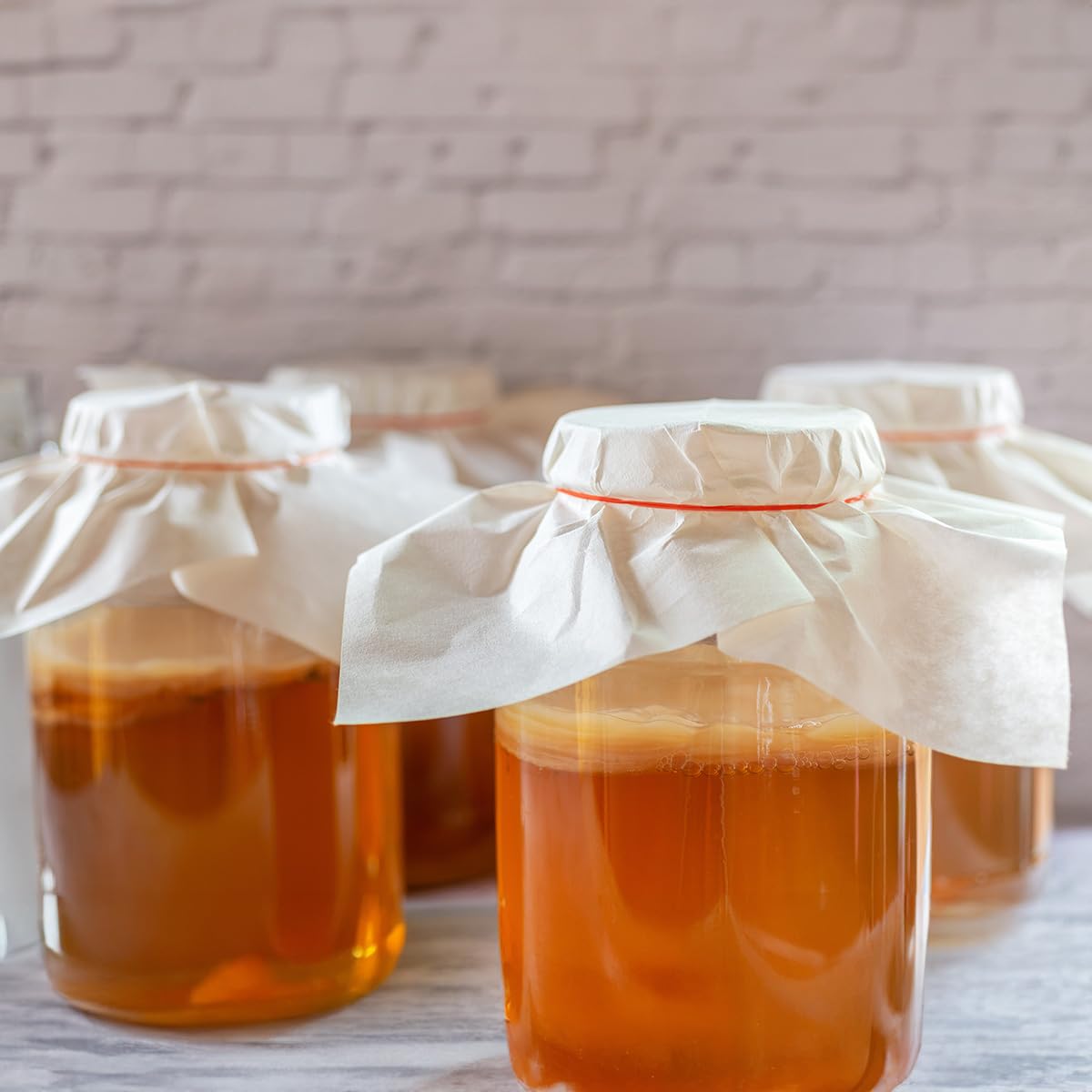 Scoby Kombucha one-gallon batch setup with live culture.
