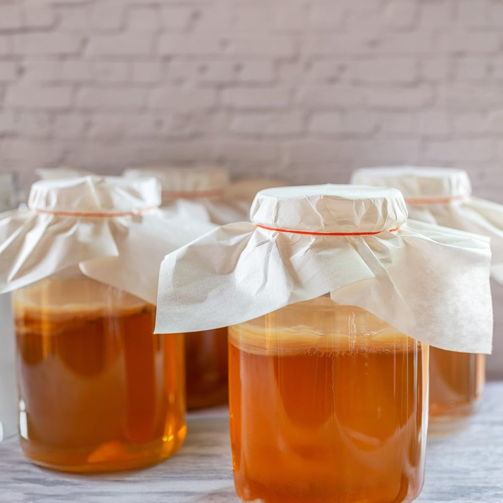 Scoby Kombucha one-gallon batch setup with live culture.