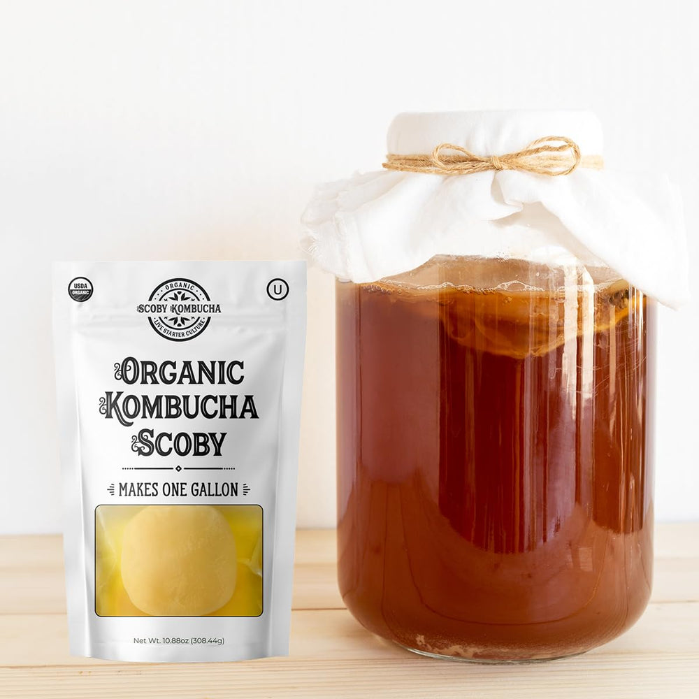 Scoby Kombucha starter tea 8 oz for strong fermentation.
