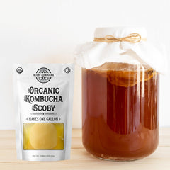 Scoby Kombucha starter tea 8 oz for strong fermentation.