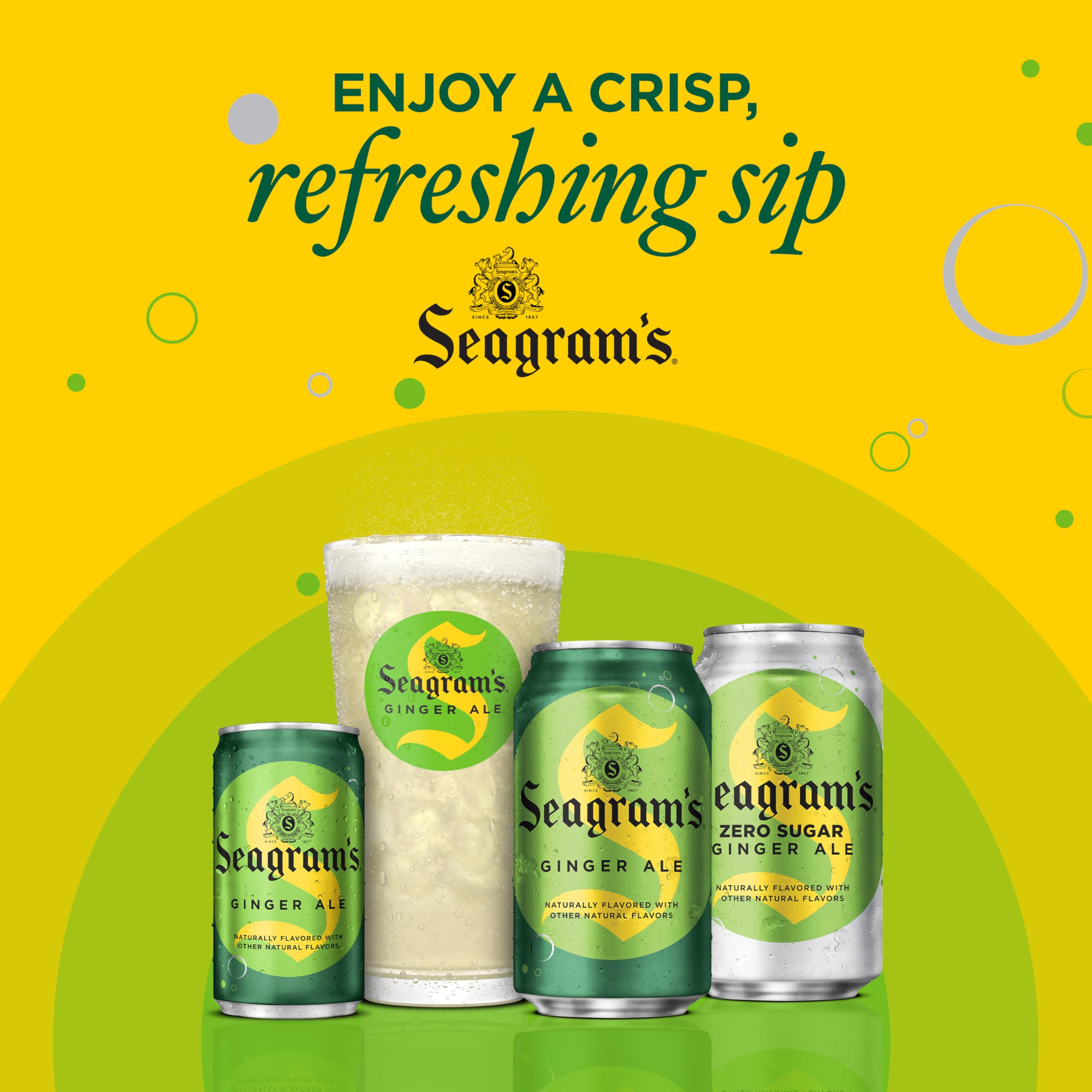 Seagram's Ginger Ale cocktail mixer image—versatile for drinks