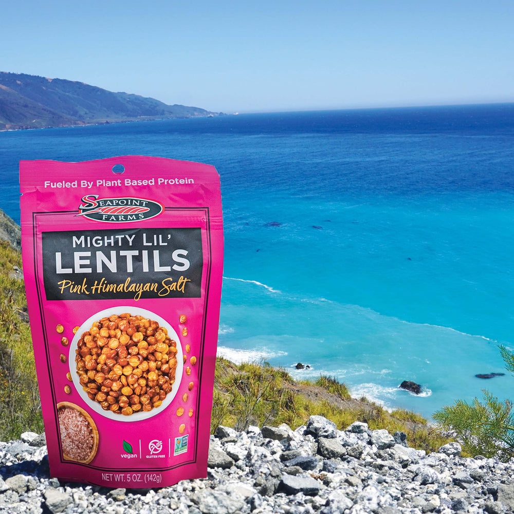 SEAPOINT FARMS Mighty Lil' Lentils vegan, gluten-free, kosher snack option