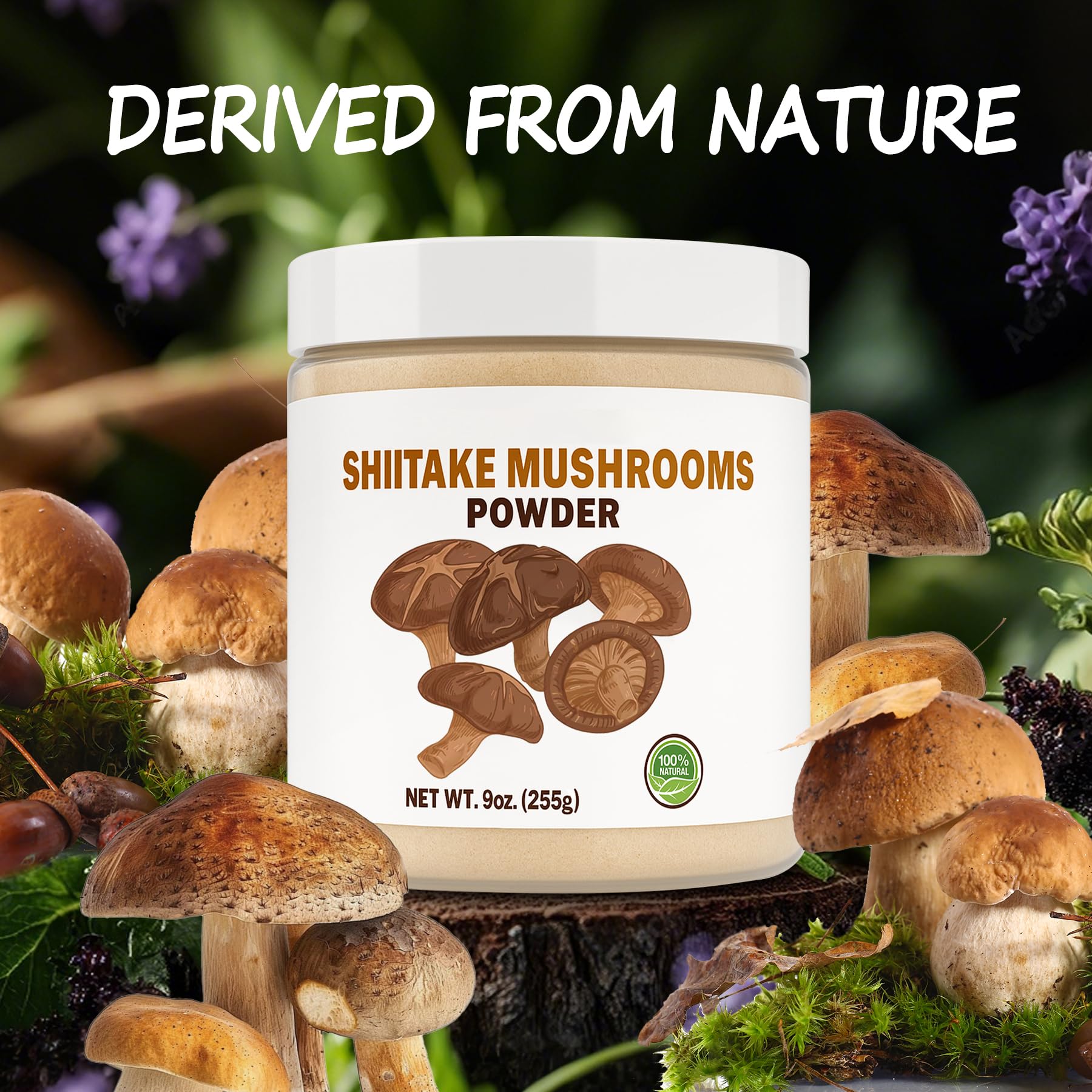 Close-up of SEAYOFA shiitake powder texture and color.