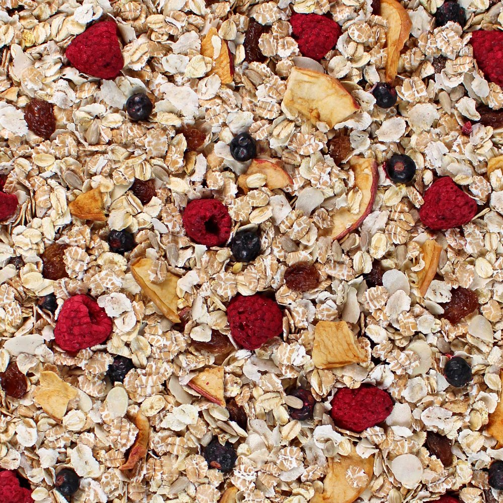 Seitenbacher Berries Temptation muesli close-up with vibrant berries and oats