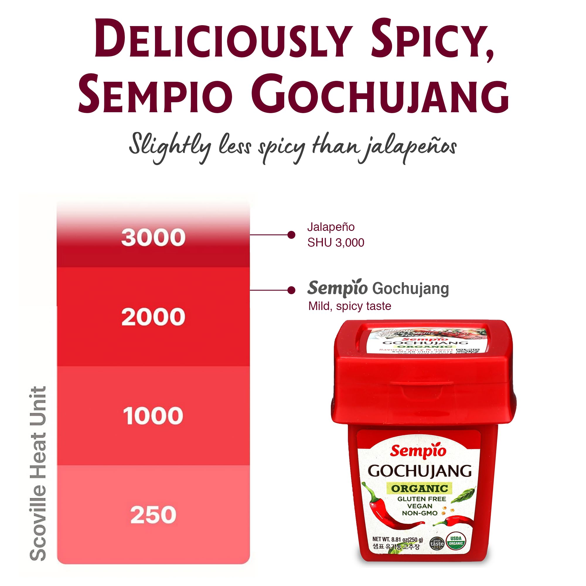 Sempio Gochujang spoon dip showing rich color ideal for dipping or mixing.
