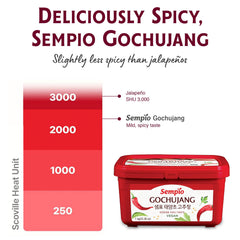 Sempio vegan gochujang jar with dipping spoon showing versatile uses