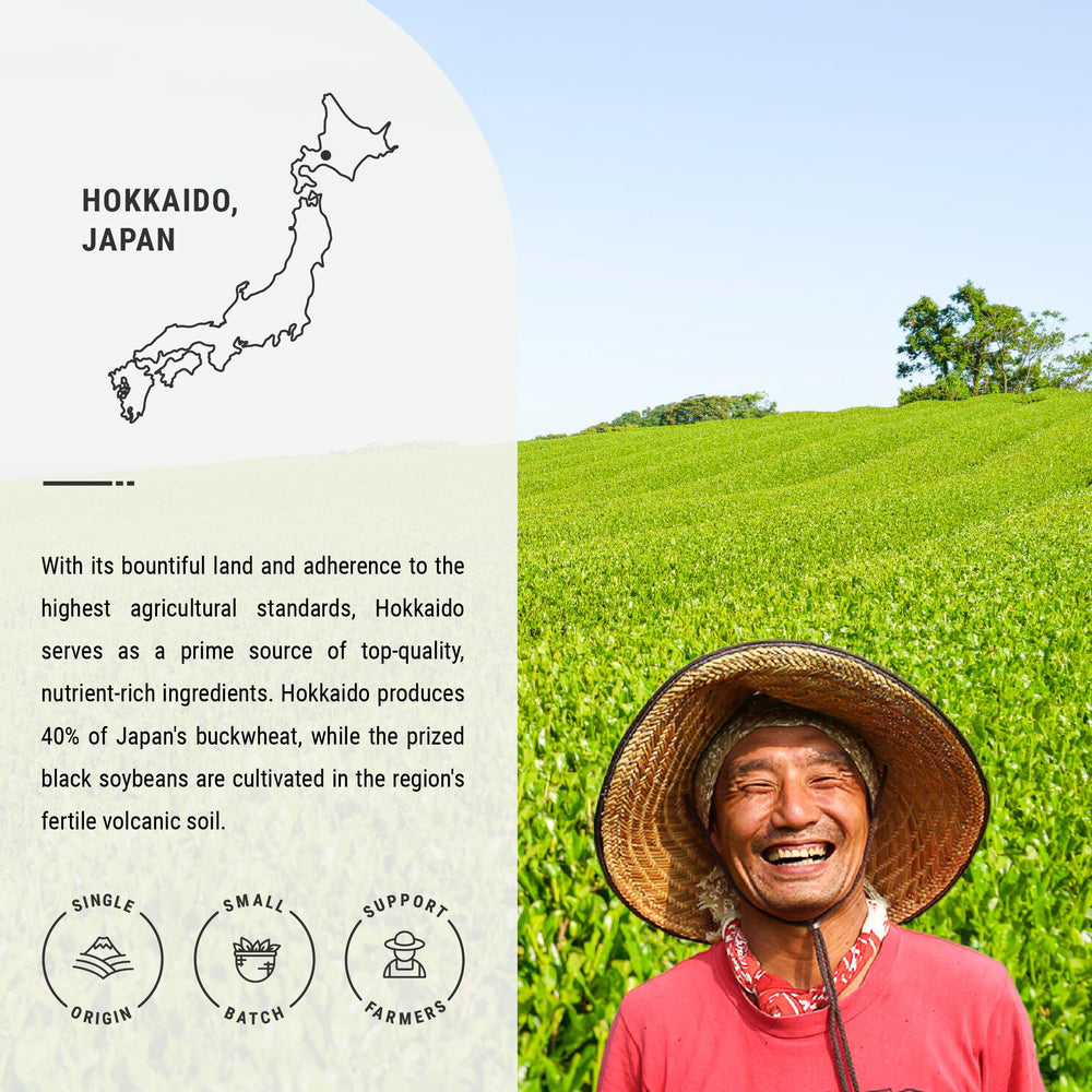 Senbird Genmaicha brewed tea in a cup with warm, toasty notes.