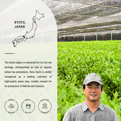 Senbird Gyokuro Kyoto farm leaves highlight heritage and careful cultivation.