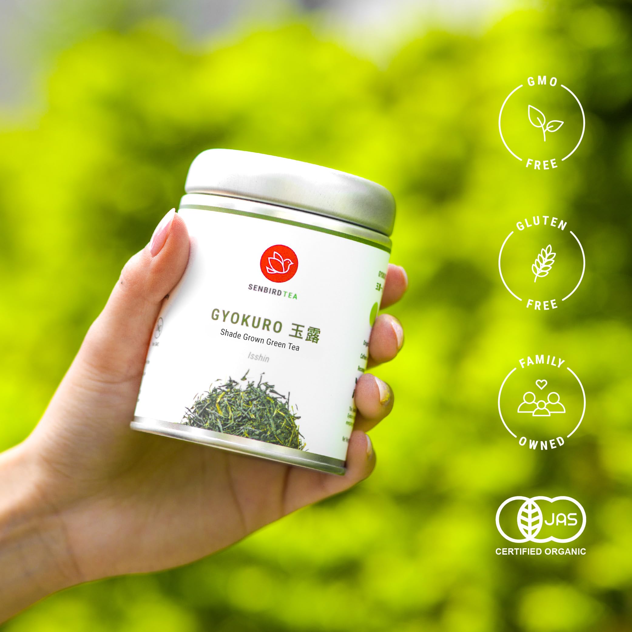 Senbird Gyokuro steaming cup shows velvety umami and inviting aroma.