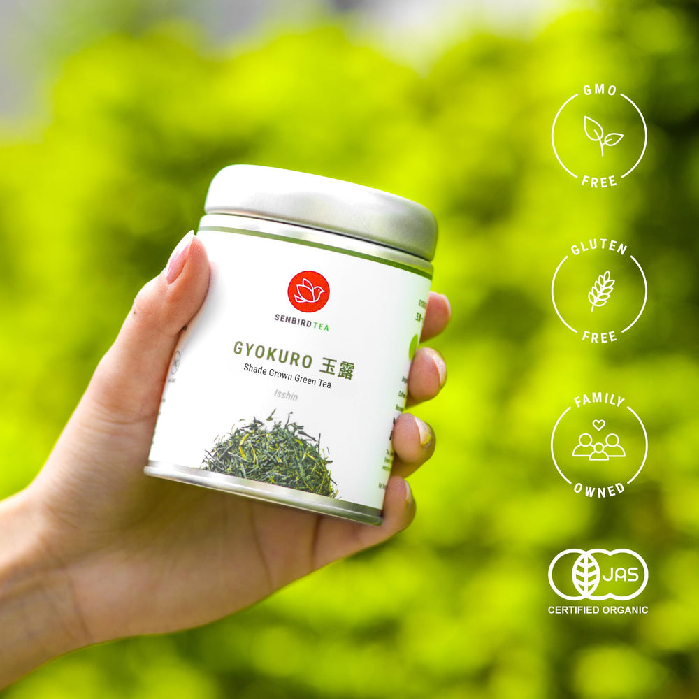 Senbird Gyokuro steaming cup shows velvety umami and inviting aroma.