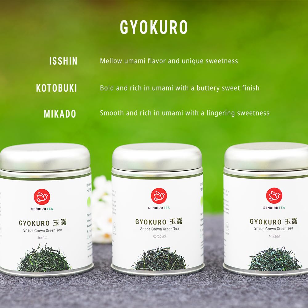Calm tea room featuring Senbird Gyokuro for a mindful ritual.