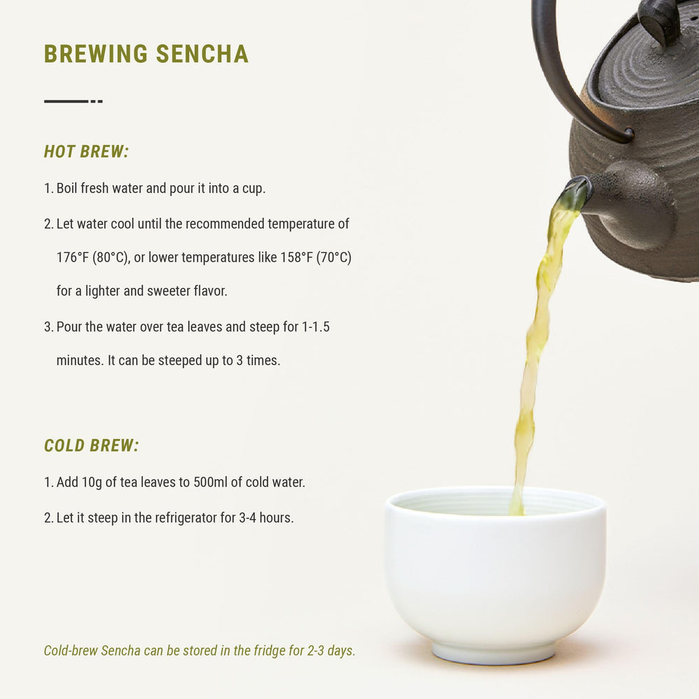Senbird Premium Sencha cold brew for refreshing tea.