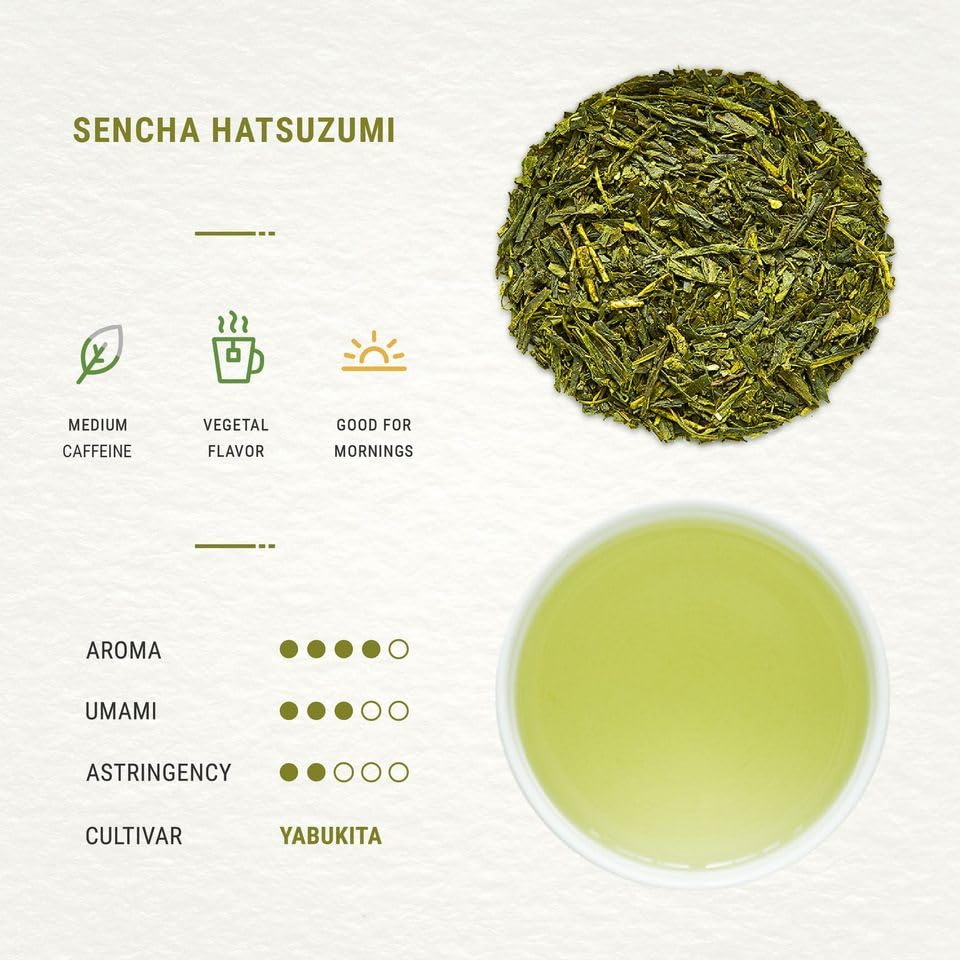 Senbird Premium Sencha first-pick leaves for vibrant flavor.