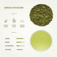 Senbird Premium Sencha first-pick leaves for vibrant flavor.