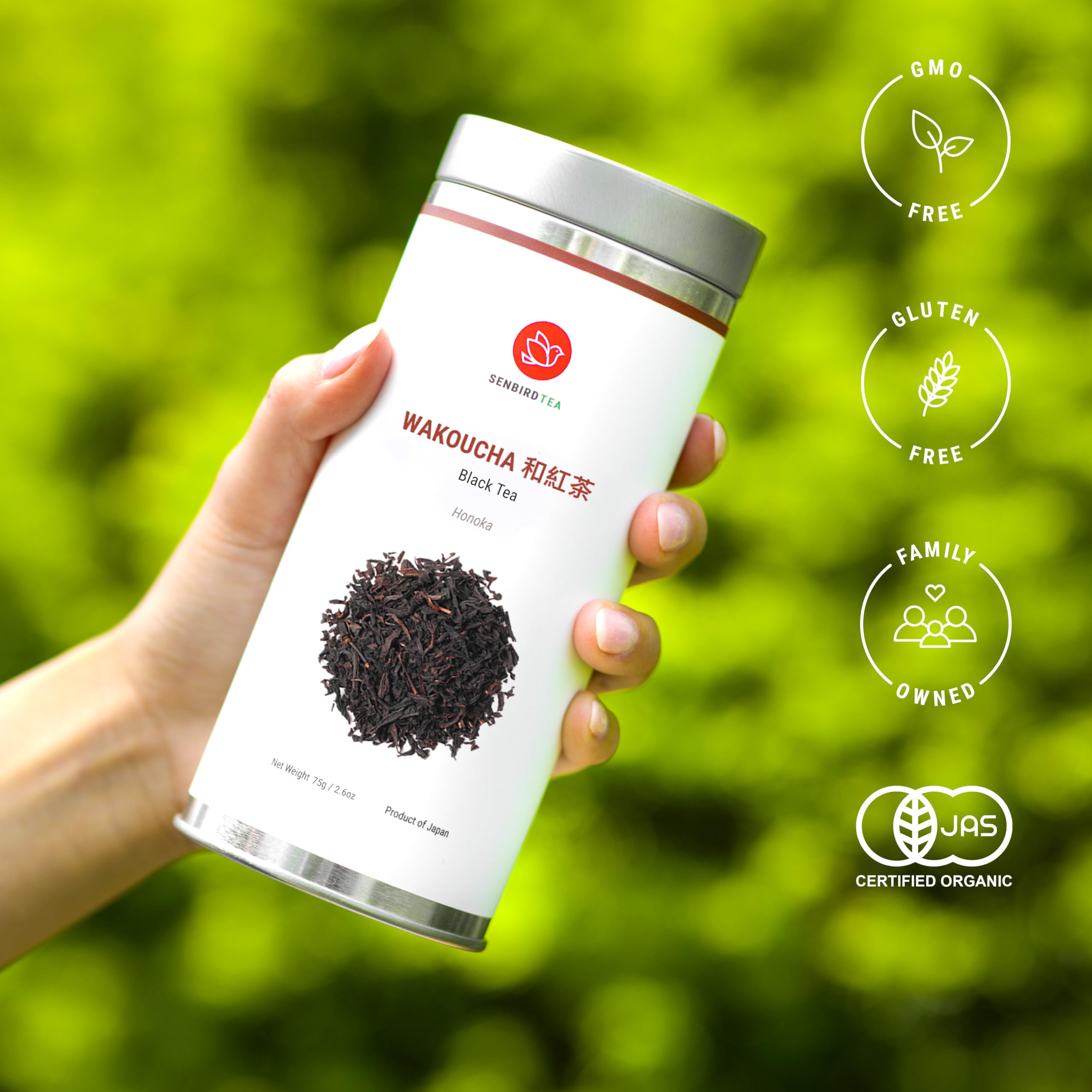 Senbird Wakoucha steaming cup highlights mellow cacao-like notes