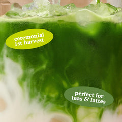 First-harvest SENCHA NATURALS matcha leaves for premium flavor
