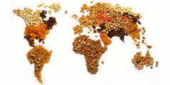 Setton Farms Fancy Deluxe Mixed Nuts packaging highlights Kosher Parve and Non-GMO status.