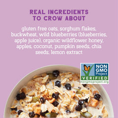 Seven Sundays Wild and Free ingredients close-up highlighting blueberries and chia for natural flavor