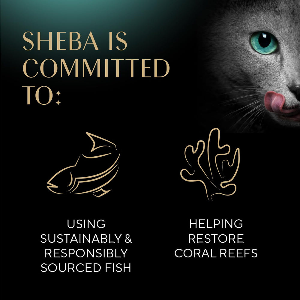 Sheba Selections Filets in Broth deliver premium flavor from real chicken and tuna