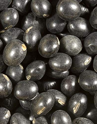Shiloh Farms black soybeans used in a hearty salad, highlighting versatility and heartiness.