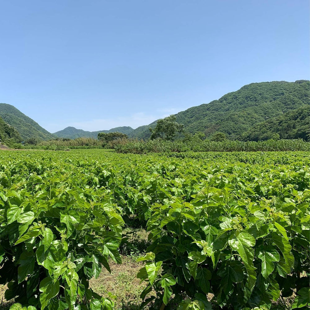 Shimane Organic Farm Nutrient-rich blend with calcium and iron imagery for mindful nutrition.