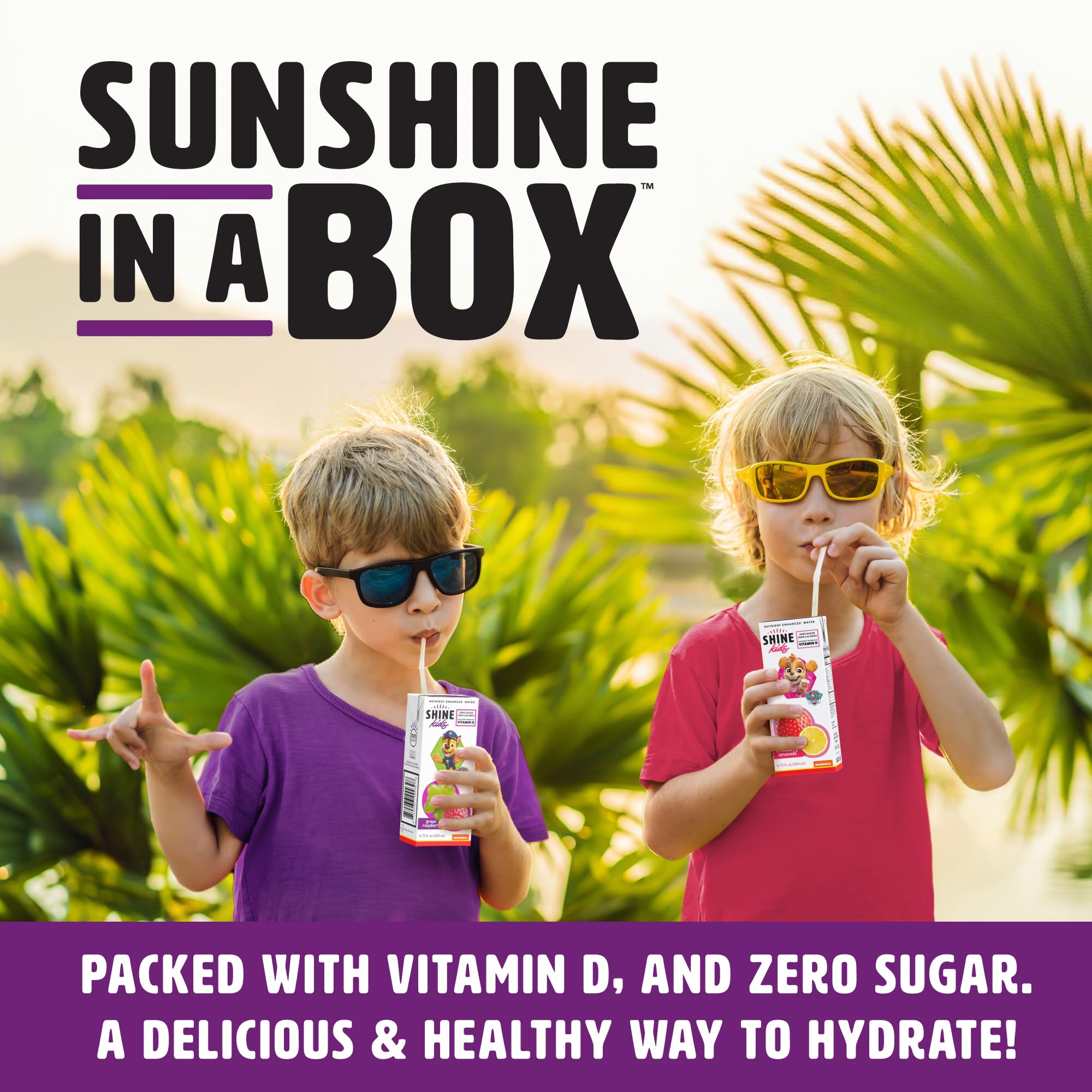 Organic ShineWater kids juice box with grape raspberry flavor