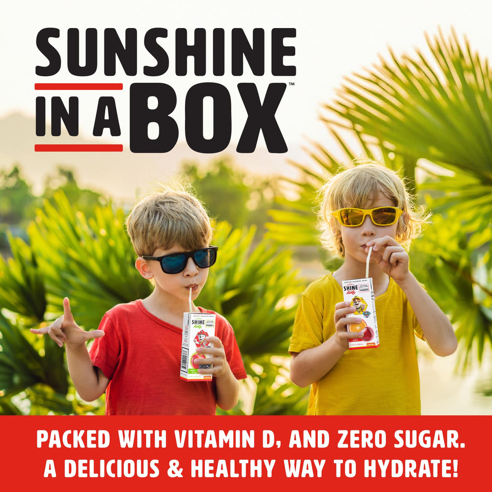 ShineWater Paw Patrol grape raspberry juice box pack shot emphasizing flavors