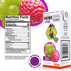 ShineWater Paw Patrol juice pouch with vitamin D for on‑the‑go kids