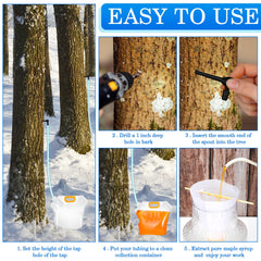 SiliFine 5 L collection bags holding fresh maple sap.