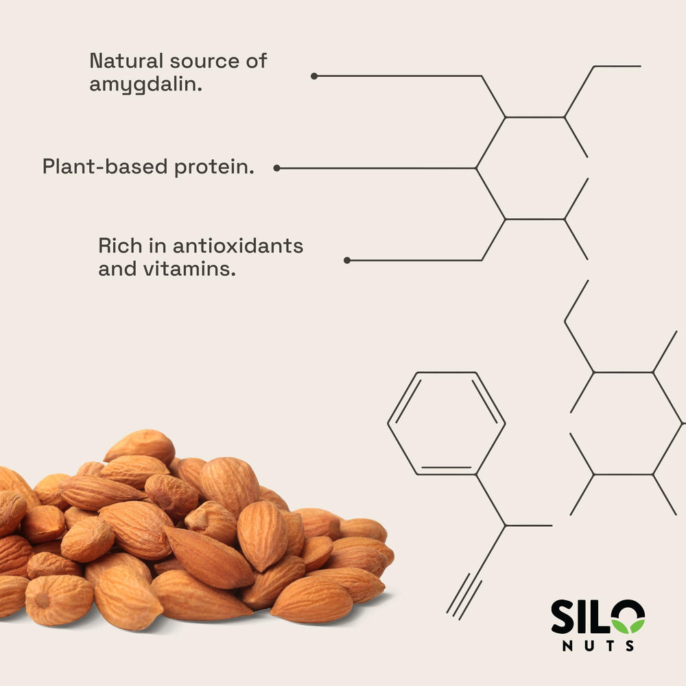 Farm-sourced SILO NUTS bitter apricot kernels from trusted farmers for quality ingredients