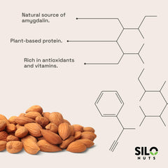 Farm-sourced SILO NUTS bitter apricot kernels from trusted farmers for quality ingredients
